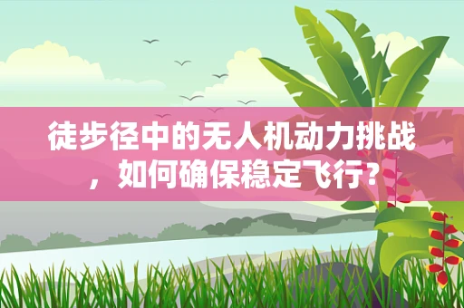 徒步径中的无人机动力挑战，如何确保稳定飞行？