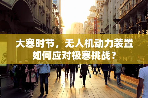 大寒时节，无人机动力装置如何应对极寒挑战？