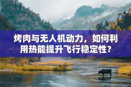 烤肉与无人机动力，如何利用热能提升飞行稳定性？