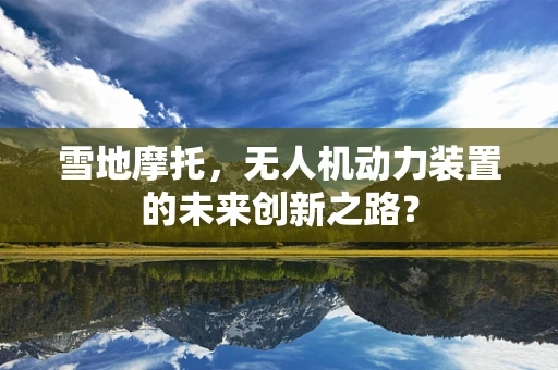 雪地摩托，无人机动力装置的未来创新之路？
