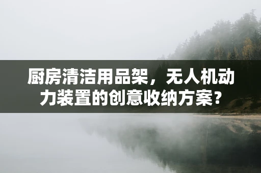 厨房清洁用品架，无人机动力装置的创意收纳方案？