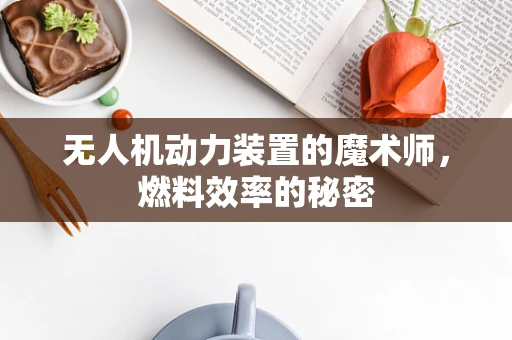 无人机动力装置的魔术师，燃料效率的秘密