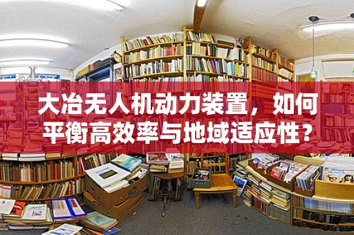 大冶无人机动力装置，如何平衡高效率与地域适应性？