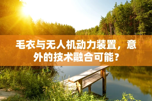 毛衣与无人机动力装置，意外的技术融合可能？