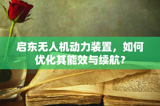 启东无人机动力装置，如何优化其能效与续航？