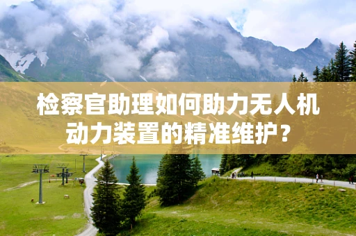 检察官助理如何助力无人机动力装置的精准维护？