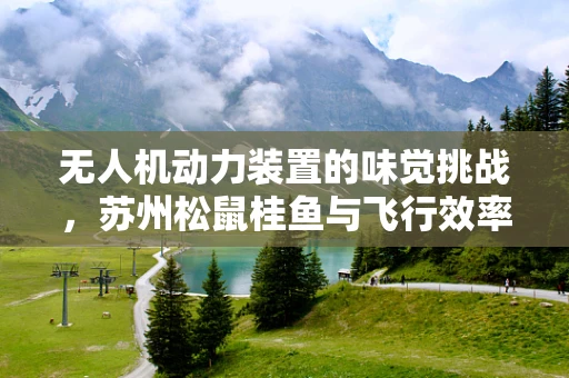 无人机动力装置的味觉挑战，苏州松鼠桂鱼与飞行效率的微妙平衡