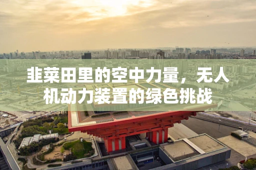 韭菜田里的空中力量，无人机动力装置的绿色挑战