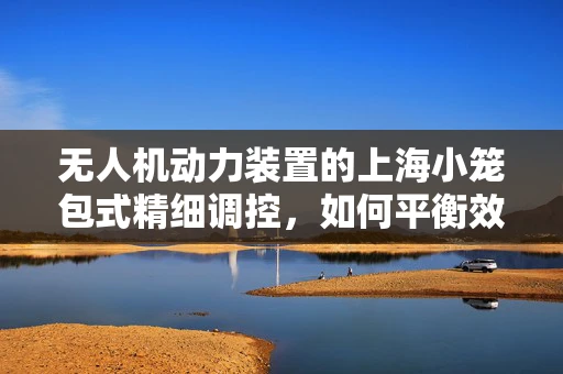 无人机动力装置的上海小笼包式精细调控，如何平衡效率与轻量化？