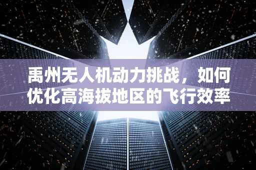 禹州无人机动力挑战，如何优化高海拔地区的飞行效率？