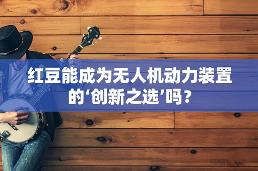 红豆能成为无人机动力装置的‘创新之选’吗？