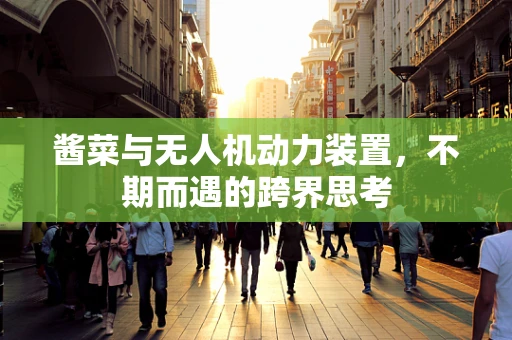 酱菜与无人机动力装置，不期而遇的跨界思考