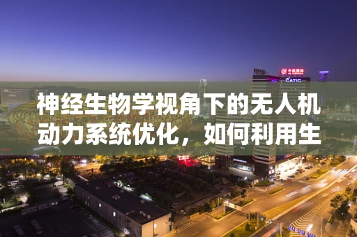 神经生物学视角下的无人机动力系统优化，如何利用生物启发的智能控制策略？