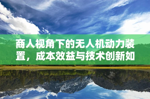 商人视角下的无人机动力装置，成本效益与技术创新如何平衡？