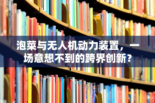 泡菜与无人机动力装置，一场意想不到的跨界创新？