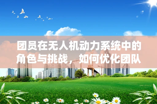 团员在无人机动力系统中的角色与挑战，如何优化团队协作以提升飞行效率？