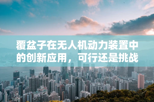 覆盆子在无人机动力装置中的创新应用，可行还是挑战？