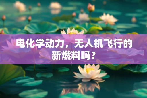 电化学动力，无人机飞行的新燃料吗？
