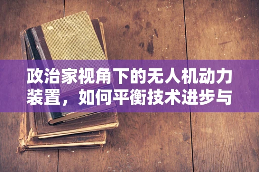 政治家视角下的无人机动力装置，如何平衡技术进步与政策监管？