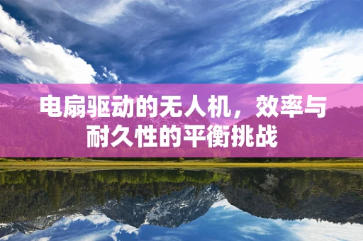 电扇驱动的无人机，效率与耐久性的平衡挑战