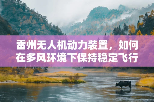 雷州无人机动力装置，如何在多风环境下保持稳定飞行？