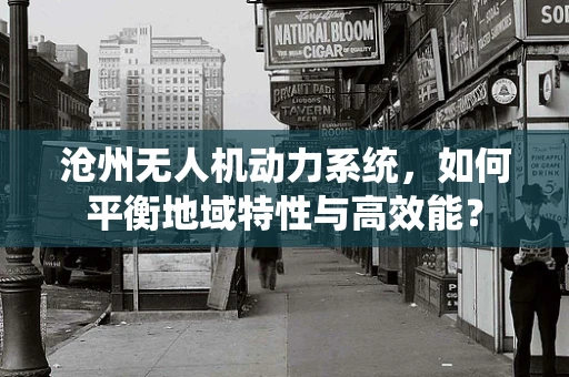 沧州无人机动力系统，如何平衡地域特性与高效能？