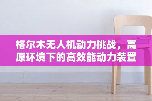 格尔木无人机动力挑战，高原环境下的高效能动力装置选择
