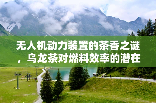 无人机动力装置的茶香之谜，乌龙茶对燃料效率的潜在影响