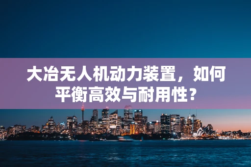 大冶无人机动力装置，如何平衡高效与耐用性？