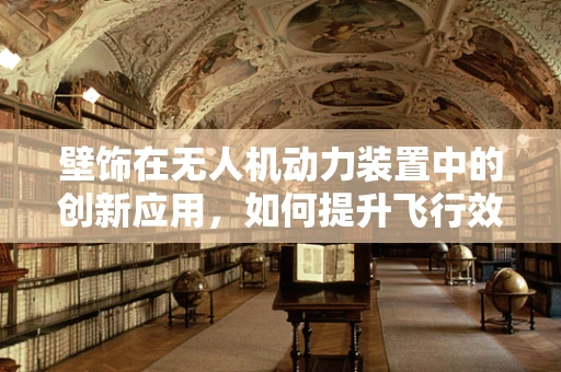 壁饰在无人机动力装置中的创新应用，如何提升飞行效率与安全？
