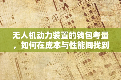 无人机动力装置的钱包考量，如何在成本与性能间找到最佳平衡？