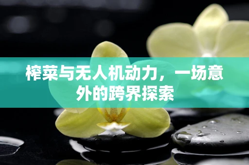 榨菜与无人机动力，一场意外的跨界探索