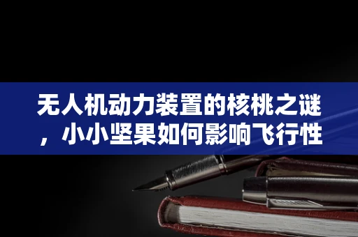 无人机动力装置的核桃之谜，小小坚果如何影响飞行性能？