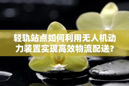 轻轨站点如何利用无人机动力装置实现高效物流配送？