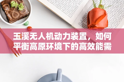 玉溪无人机动力装置，如何平衡高原环境下的高效能需求？