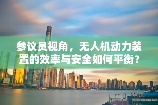 参议员视角，无人机动力装置的效率与安全如何平衡？