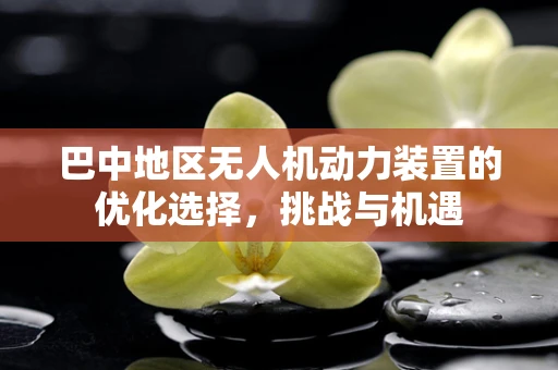 巴中地区无人机动力装置的优化选择，挑战与机遇