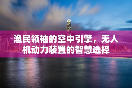 渔民领袖的空中引擎，无人机动力装置的智慧选择