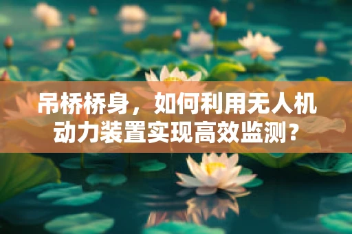 吊桥桥身，如何利用无人机动力装置实现高效监测？