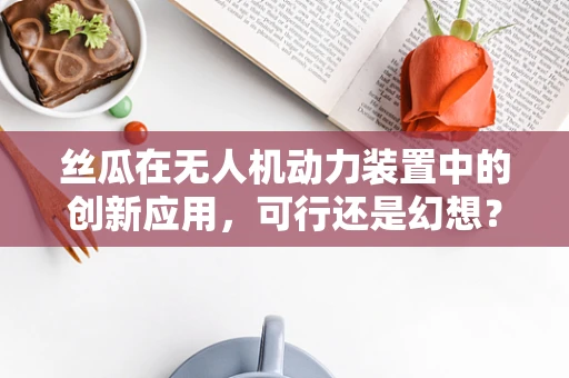 丝瓜在无人机动力装置中的创新应用，可行还是幻想？