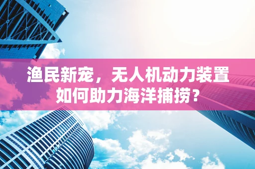 渔民新宠，无人机动力装置如何助力海洋捕捞？