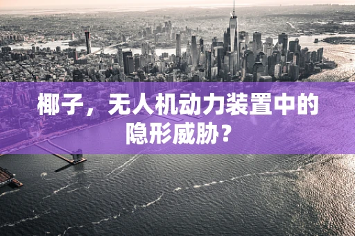 椰子，无人机动力装置中的隐形威胁？