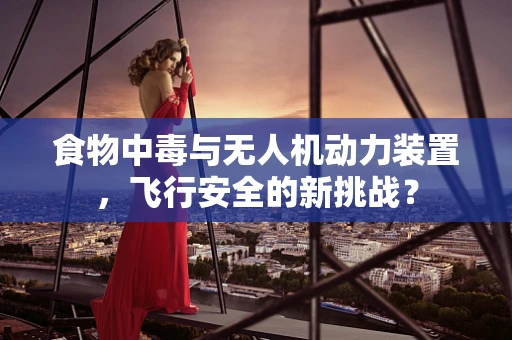 食物中毒与无人机动力装置，飞行安全的新挑战？
