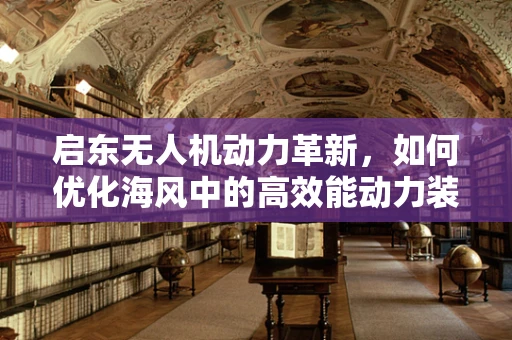 启东无人机动力革新，如何优化海风中的高效能动力装置？