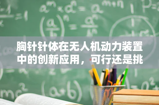 胸针针体在无人机动力装置中的创新应用，可行还是挑战？