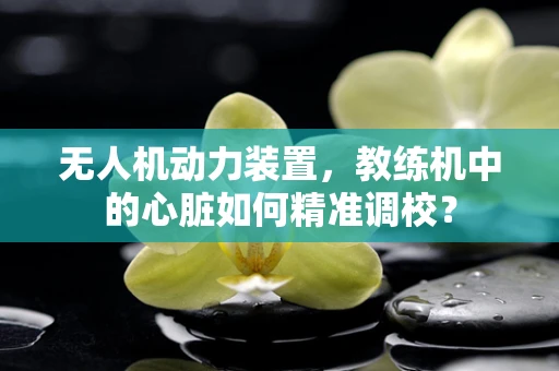 无人机动力装置，教练机中的心脏如何精准调校？