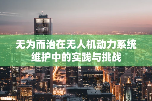 无为而治在无人机动力系统维护中的实践与挑战