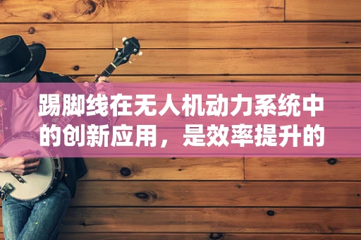 踢脚线在无人机动力系统中的创新应用，是效率提升的钥匙还是技术陷阱？