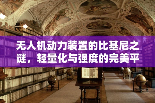 无人机动力装置的比基尼之谜，轻量化与强度的完美平衡