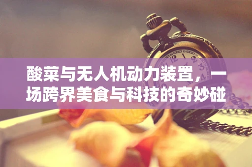 酸菜与无人机动力装置，一场跨界美食与科技的奇妙碰撞？